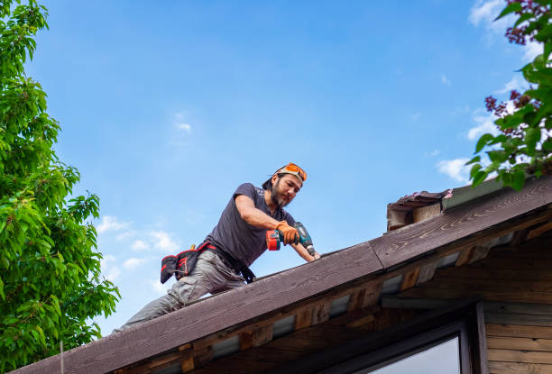 Best Asphalt Shingle Roofing  in Winfield, IL